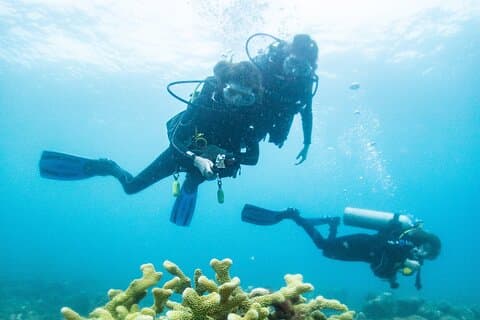 En tank dykning i Kauai South Shore Certifierad endast dykare