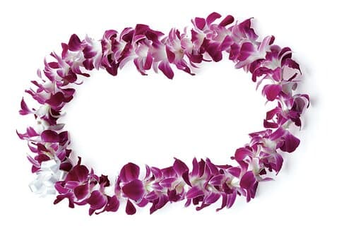 Honolulu Airport: Waikiki Private Transfer With Lei Greeting