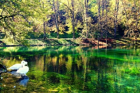 Bijambare Cave & Vrelo Bosne Half-Day Tour from Sarajevo