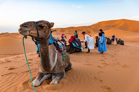2-Day Erg Chigaga Desert Tour from Ouarzazate with Camel & Camp