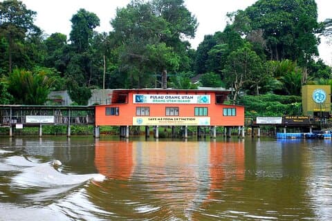 Ilha de Orang Utan e excursão privada de um dia a Ipoh saindo de Kuala Lumpur