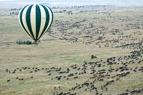 Private Tour in der Maasai Mara Safari