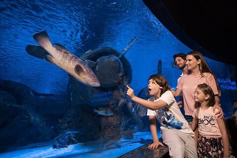 Antalya Aquarium with Entrance and Roundtrip Transfer from Alanya