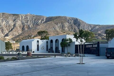 Degustación de vinos y museo del vino de Santorini