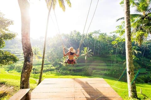 Excursion d'une journée complète à Ubud, cascade, forêt des singes, terrasse de riz