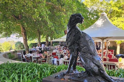 Private Tour: Cape Winelands to Stellenbosch & Franschhoek