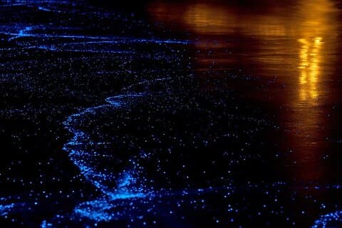 Twilight Sea Canoe Tour with Sea Cave Kayaking in Phang Nga Bay