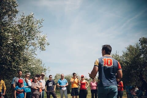 Ökologische Olivenhain-Tour mit EVOO-Verkostung