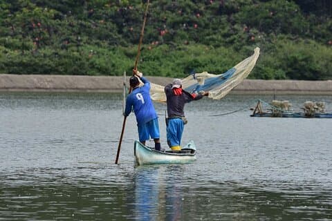 Full day : Forest and the fisherman Trail (From Guayaquil)