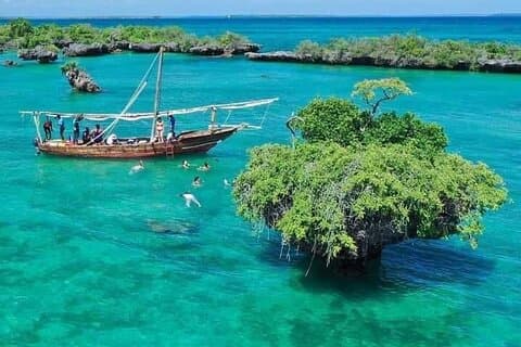 Kwale Island Dhow seglingstur från Zanzibar med Seafood Lunch