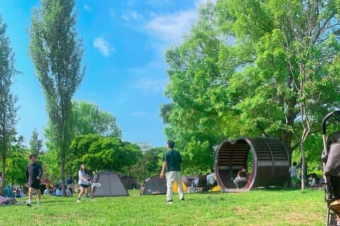 Tour locale di Seoul al mercato tradizionale con picnic sul fiume Han