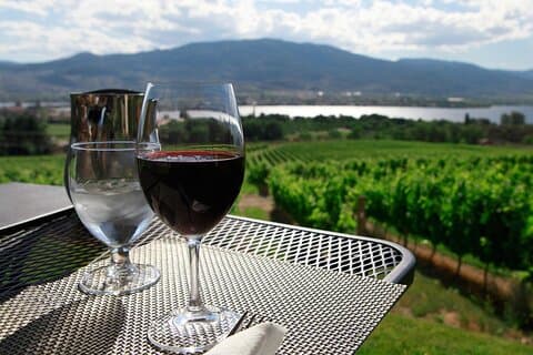 Geführte private Weintour durch den Niagara Wine Trail