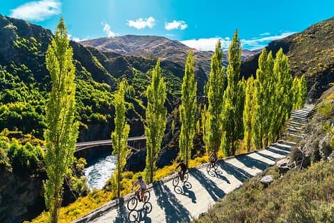 Bike The Wineries (Full-Day) - Bike & Wine Tour