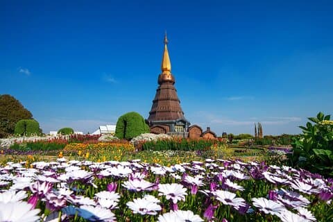 Heldags Doi Inthanon National Park Tour (fælles)