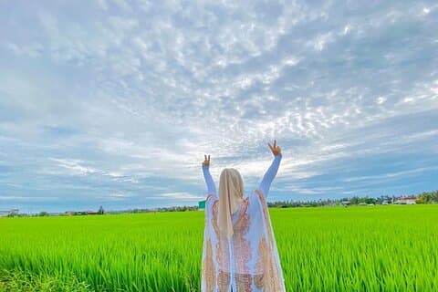 Paddy Field Experience with Real Agricultural Activities
