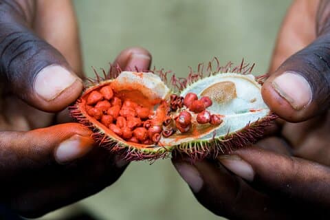 Zanzibar: Half - Day Spice Farm Tour, de smaken van Zanzibar