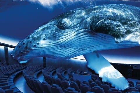 Indgang til Palma Aquarium
