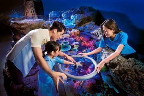 Boleto de entrada a SEA LIFE Bangkok Ocean World y Madam Taussauds