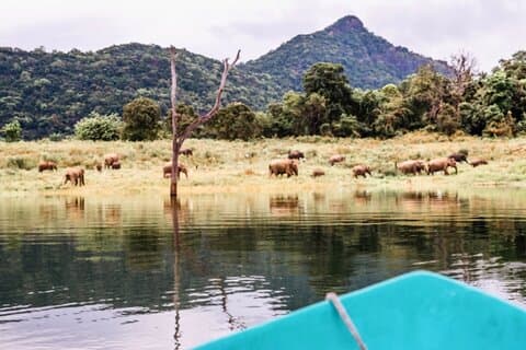 Privé jeepsafari naar Galoya National Park vanuit Sigiriya