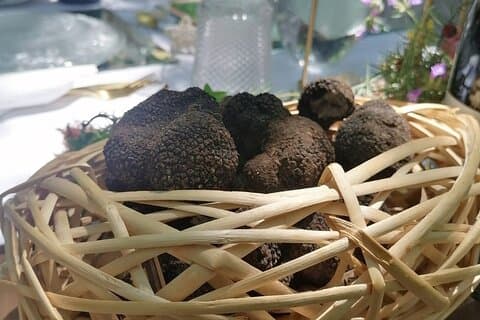 Viagem de um dia: Caça às trufas com almoço + visita guiada a Montefalco