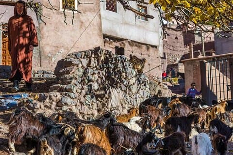 Helgedagstur fra Marrakech til Atlasfjellene med Berbers