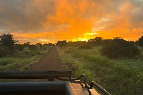 Nairobi National Park Daily Game fährt mit dem Land Cruiser JEEP.