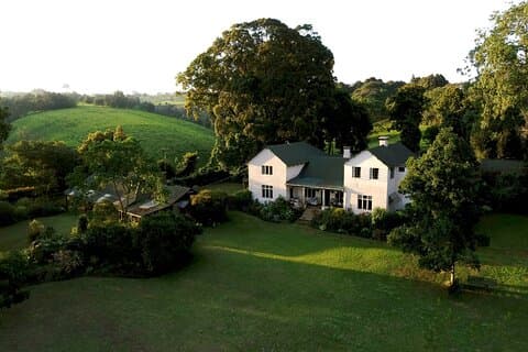 Tour zur Kiambethu-Teefarm und Mittagessen ab Nairobi