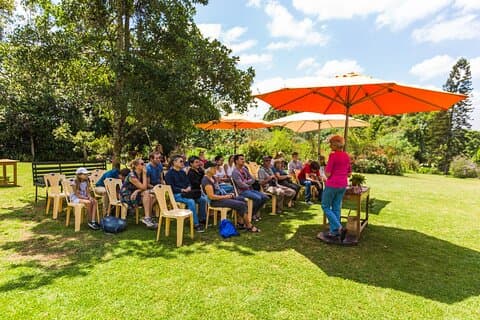 Kaimbethu Tea Farm Tour en lunchpakket