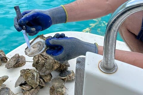 Ston Seafood & Wine, båttur med østers og muslinger (lunsj)