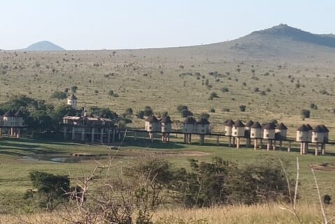 3 días Safari Taita Hills-Saltlick lodge + parque Amboseli