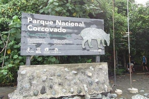 Corcovado National Park - Dagstur fra Drake Bay