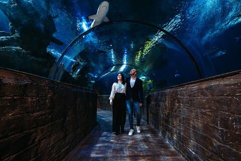 Malta National Aquarium Entrance Ticket