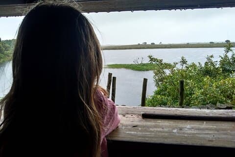 iSimangaliso Family Safari - Bom Dia / Boa Tarde Safari