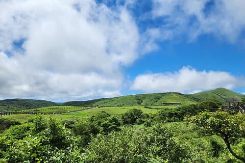 Tour privato del vulcano Yamingshan, della valle termale di Beitou e del Danshui