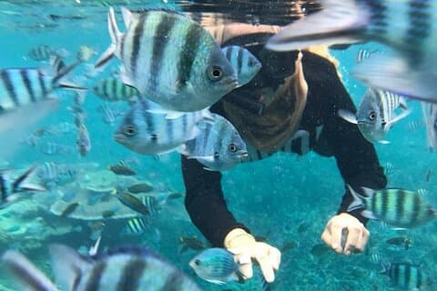 Tioman Waterfall & Snorkeling Private Tour