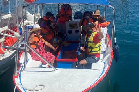 Whale Watching on a Glass Bottom Boat