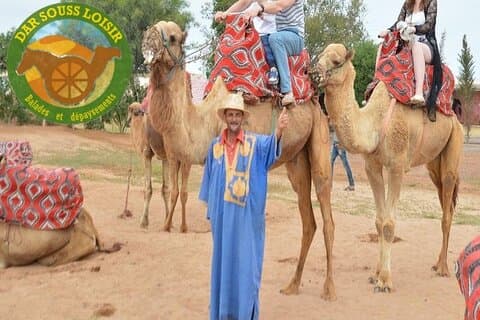 Agadir Camel Ride Experience