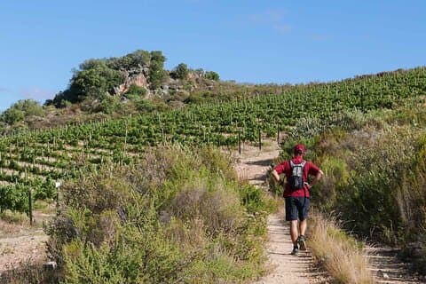 Dagtour door de Kaapse Wijnlanden