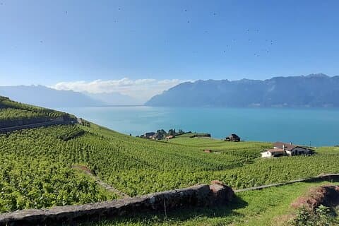 Private Wine Tour in Lavaux for 2 people