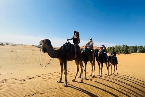Excursão de luxo de 3 dias e 2 noites no deserto de Fez a Marrakesh