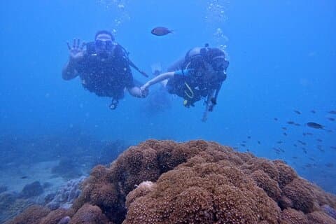 [GRUPPO] IMMERSIONI SUBACQUEE Per principianti a Phu Quoc Island (PROVA IMMERSIONE)
