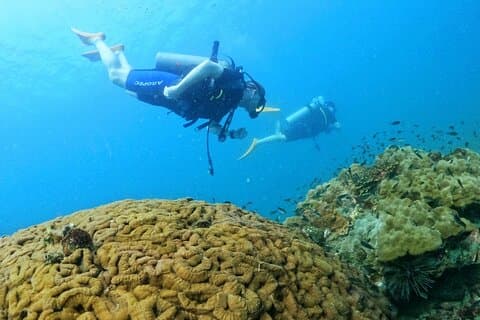 [GRUPPO] IMMERSIONI SUBACQUEE per subacquei certificati a Phu Quoc Island