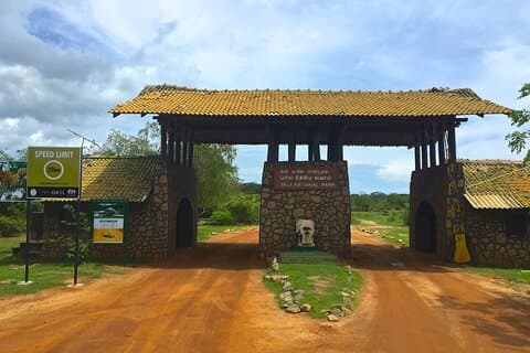 Dagsutflukt til Yala nasjonalpark fra Colombo
