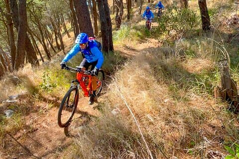 Pedals & Flavours: Sorrento oil and lemon tour