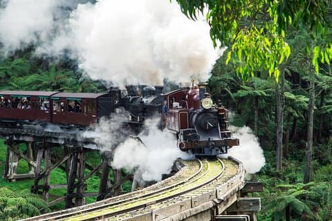 Visite en bus du défilé des pingouins de Puffing Billy et Phillip Island