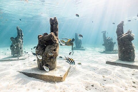 5 - in - 1 Cancun Plongée en apnée : Tortues, Récif, Musa, Naufrage, Cenote