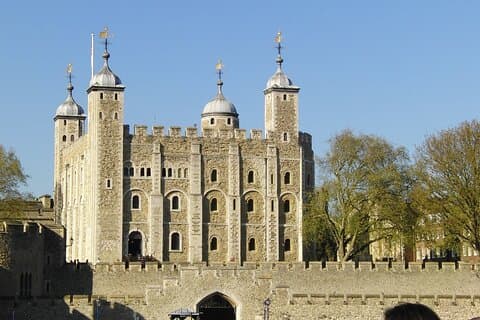 En halvdags panoramatur i London med inträde till Tower of London
