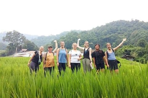 Eco 1.45Hours Hiking @Pha Dok Siaw + Doi Inthanon & Royal Project