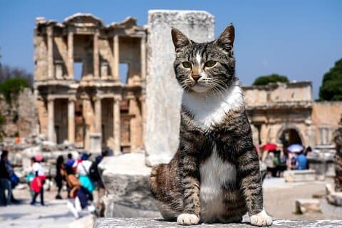 Privé Ephesus-tour vanuit Kusadasi