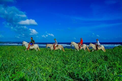 Passeggiate a cavallo a Mahogany Bay
